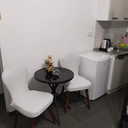 Valencia Lejlighedshotel Vrsac